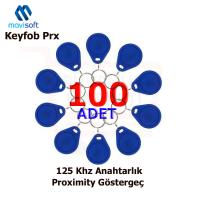 Proximity Anahtarlık Tag Göstergeç 100Ad.
